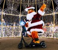 Your Guide To Tinseltowns Holiday Fun In Fdr Park