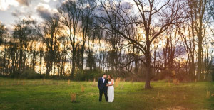 Willinghams Photography