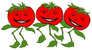 Dance Of The Ripe Tomatoes