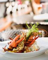 Bongo Deck - Spiced Lobster