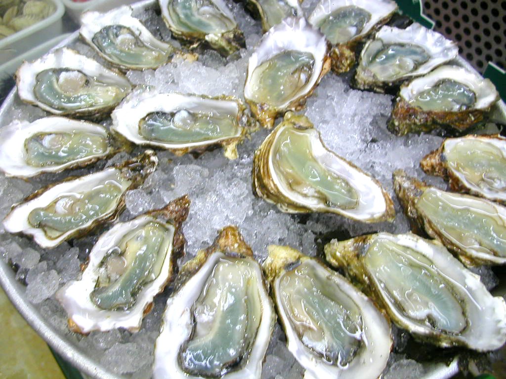 dollar-oysters