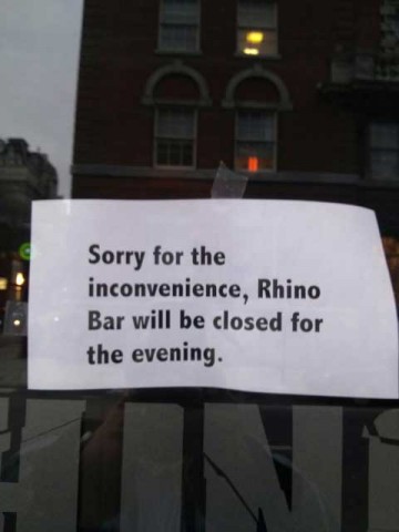 rhino-closed-evening
