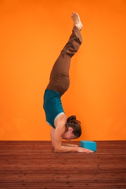To Do Flowing Into Forearms Inversions Workshop At The Yoga Garden