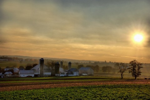 lancaster-farm