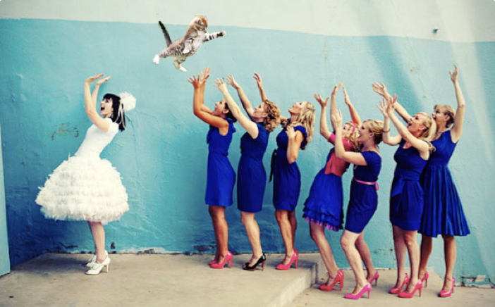 Brides Throwing Cats, your new favorite procrastination destination. 