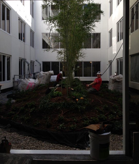 courtyard of new Doubletree Hilton extended stay
