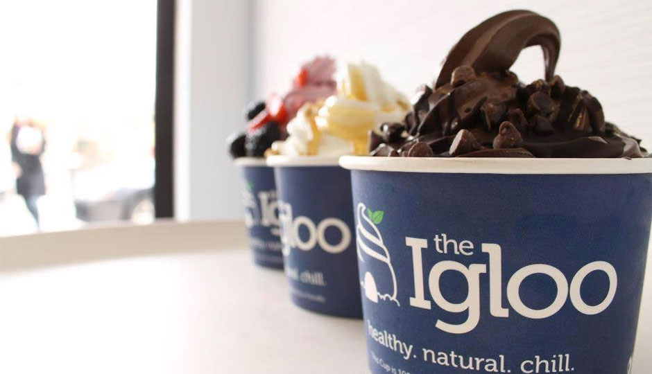 the-igloo-frozen-yogurt-940