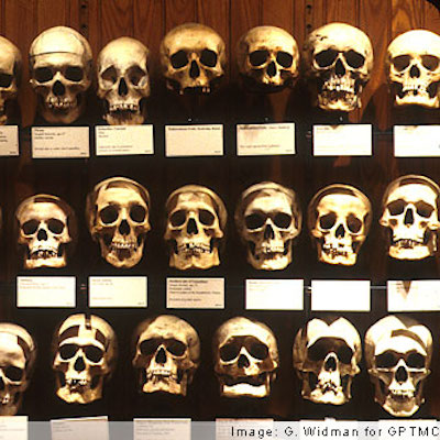 Spine-tinglers line the shelves at the Mütter Museum. 