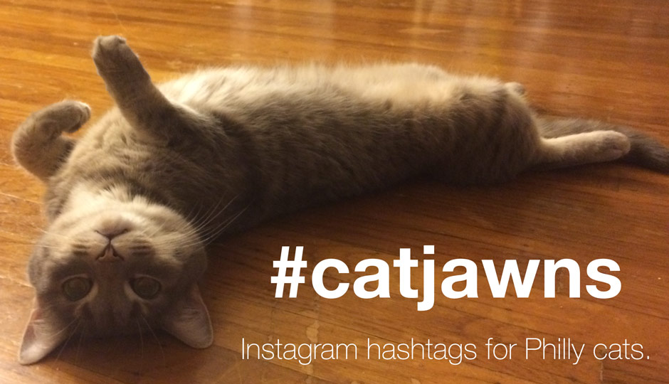 Introducing #catjawns, Instagram Hashtags for Philly Cats
