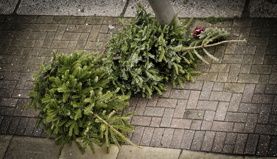 Where to Recycle Your Christmas Tree in Philadelphia