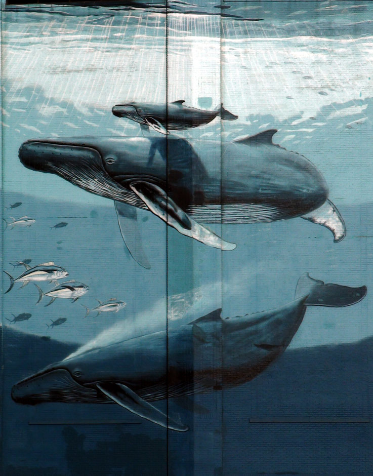 Wyland Whaling Mural
