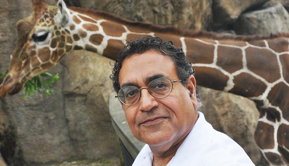 Philadelphia Zoo president/CEO Vik Dewan with eight-year-old male giraffe Gus, May 1, 2015.