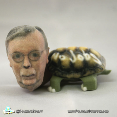 Mr. McConnell as a turtle.