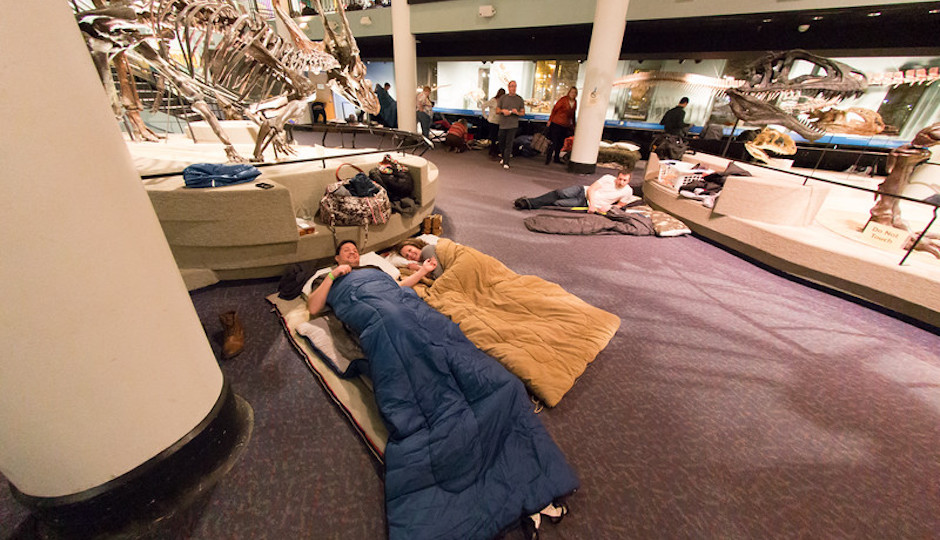Sleeping bags in Dino Hall | Photo courtesy of Academy of Natural Sciences