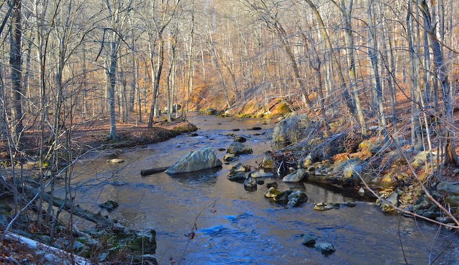 "Ridley Creek in SP Tgiving" by Smallbones via Wikipedia