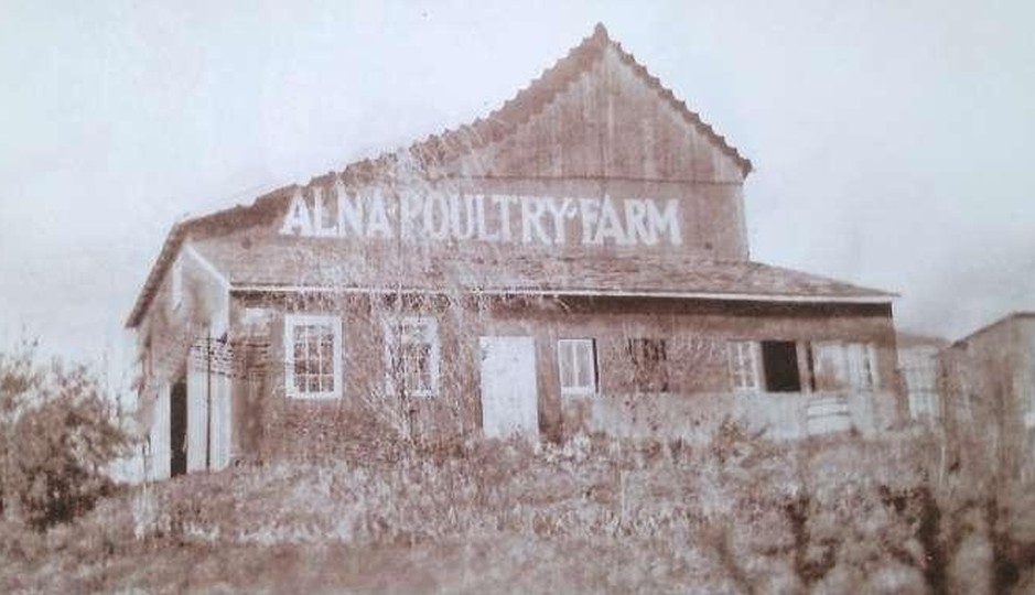 Alna Poultry Farm, New Hope, PA circa 1935
