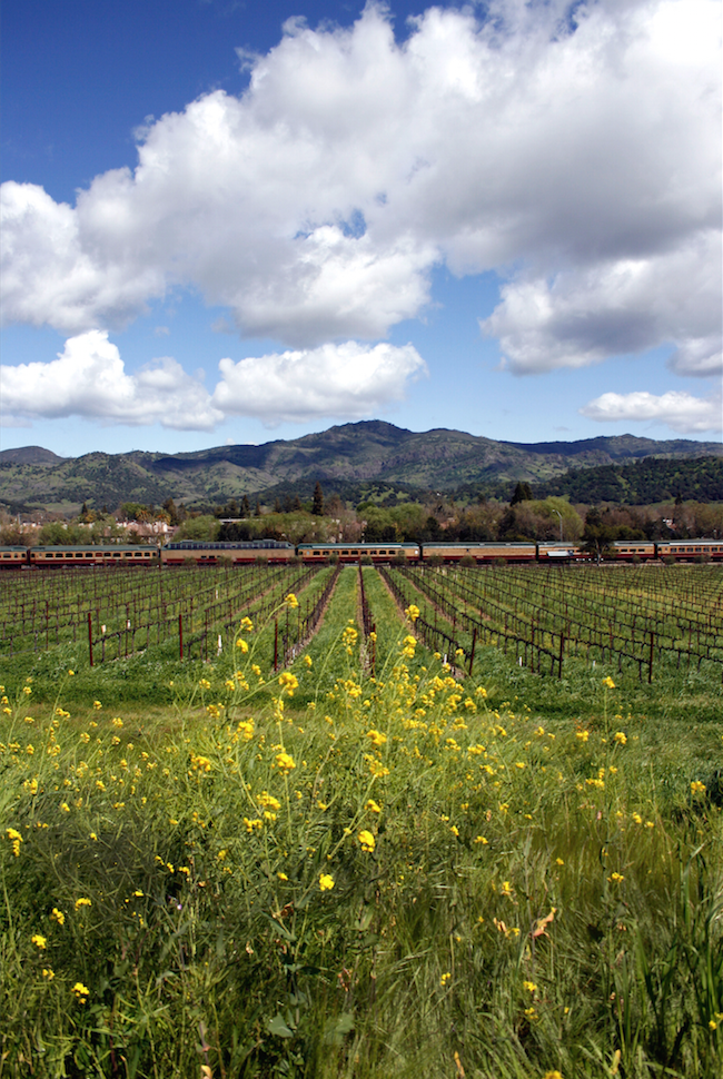 The Napa Valley Wine Train is a great way to see the region. 