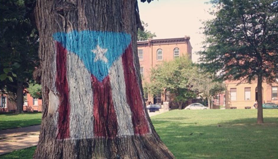 "The Puerto Rican Tree," as residents and Parks & Rec workers refer to it, in Norris Square Park. Photo | David Cruz via Instagram. 