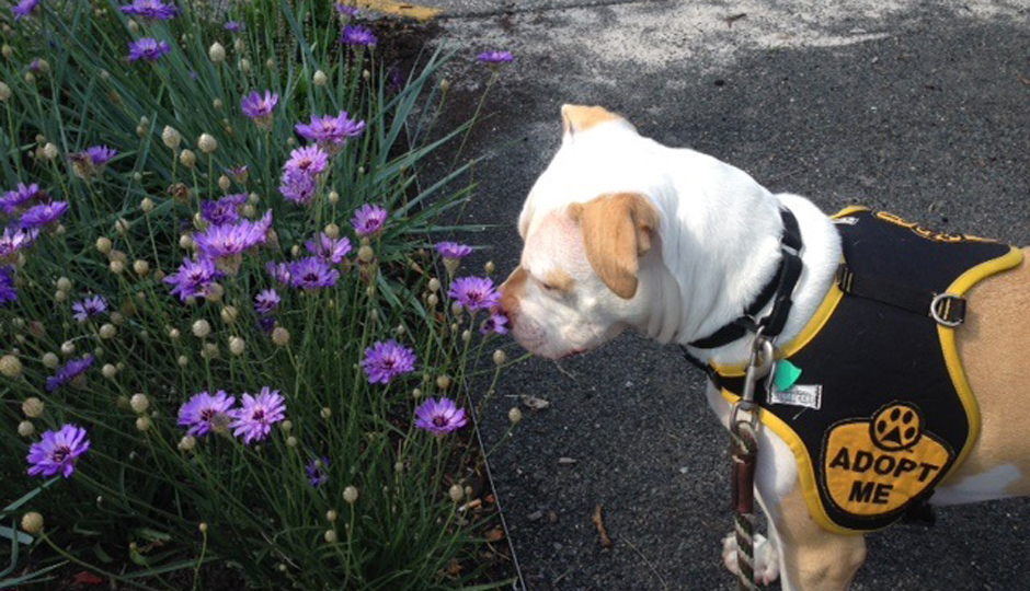 Autumn smelling the flowers. 