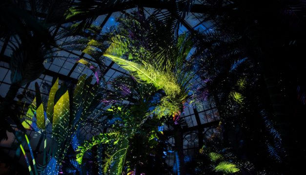 Nightscape is on display at Longwood Gardens. Photo by Kevin Ritchie