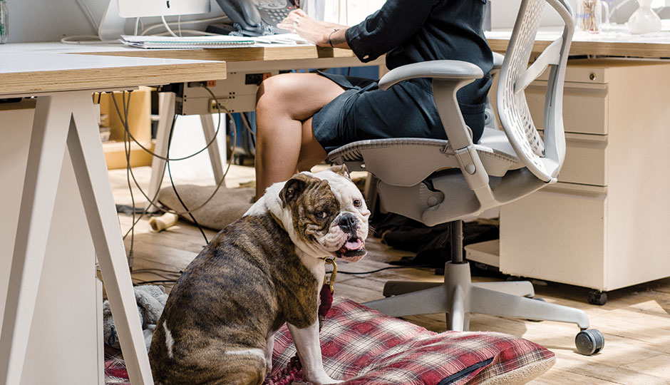 A dog lounges next to a Free People employee | Photograph by Christopher Leaman