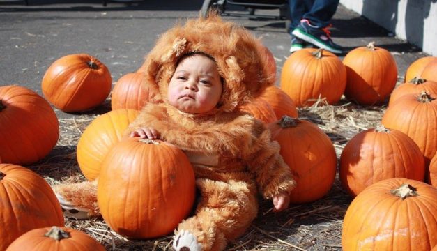 Manayunk is hosting an early Halloween celebration this Saturday. Photo provided 