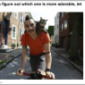 philly cat bike guy