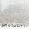 Philadelphia Eagles and Detroit Lions line up during the first quarter at the Lincoln Financial Field Snow Bowl