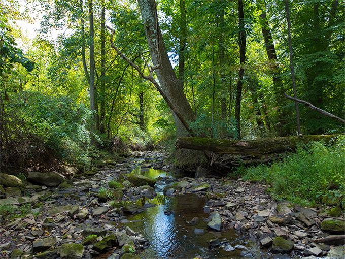 For Sale: Norristown Home with Backyard Creek