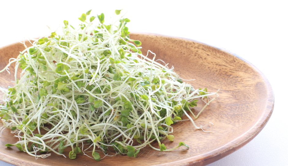 where-to-get-broccoli-sprouts-in-philadelphia-be-well-philly