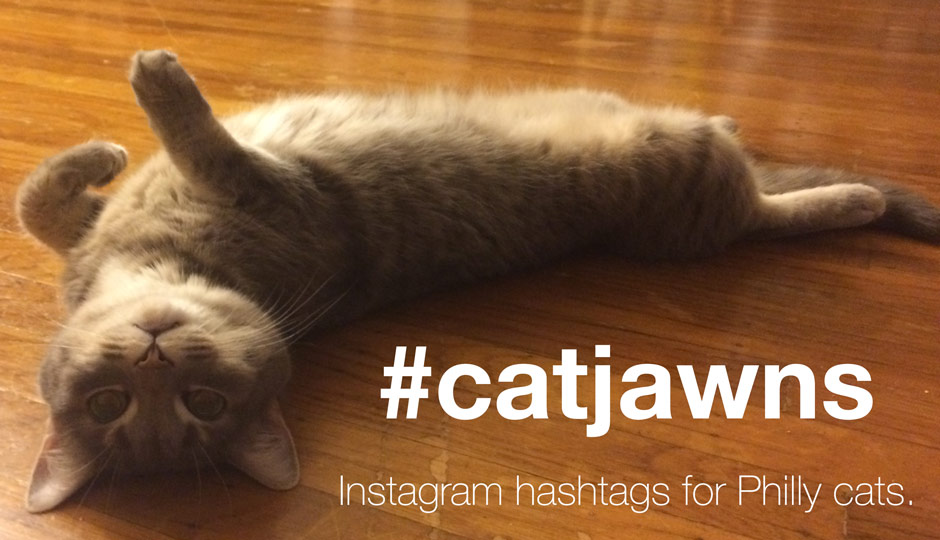 Introducing catjawns, Instagram Hashtags for Philly Cats