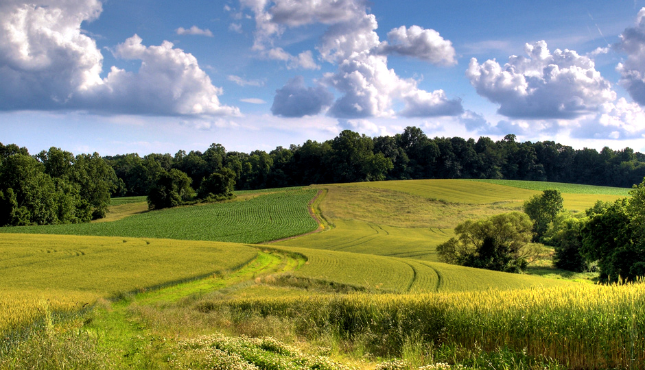 Did You Know You Can Hike the Wawa Preserve? And More Secret Local