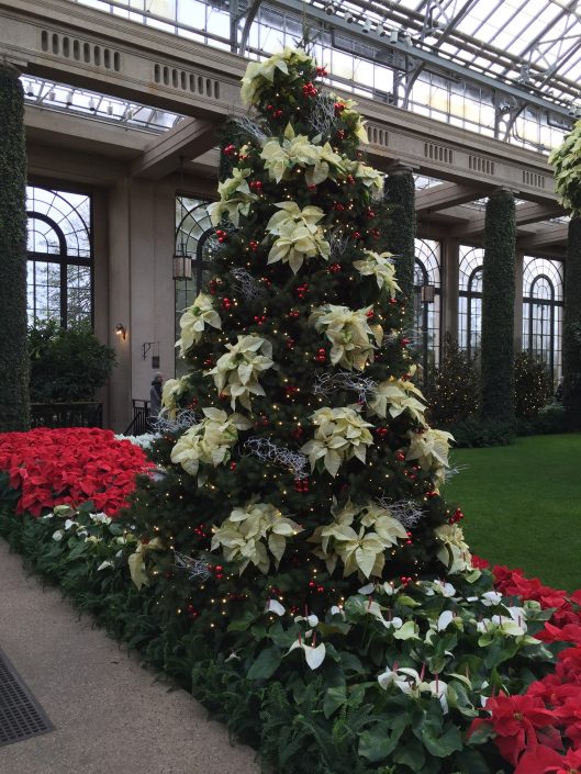 PHOTOS Holiday Display at Longwood Gardens Ticket