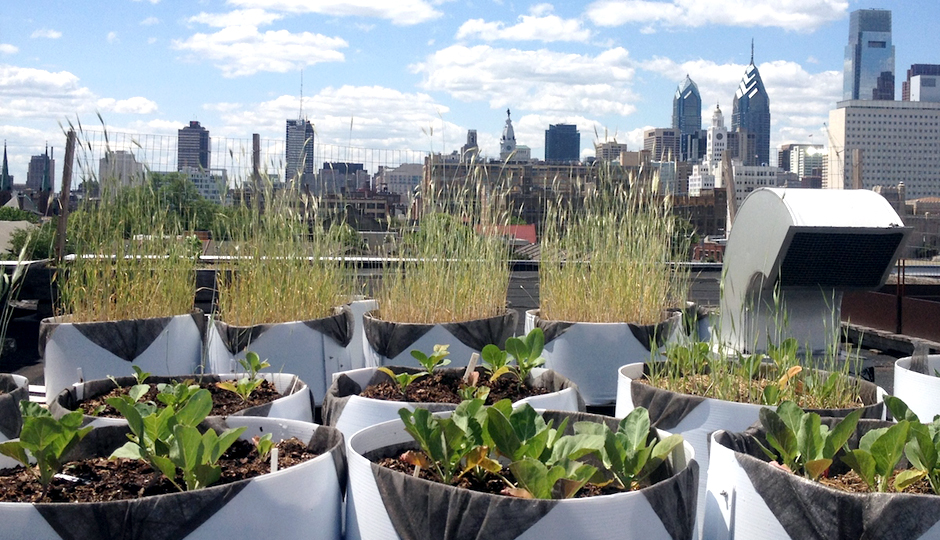 Meet Cloud 9, the Philly Nonprofit Turning City Rooftops Into Urban Farms Philadelphia Magazine