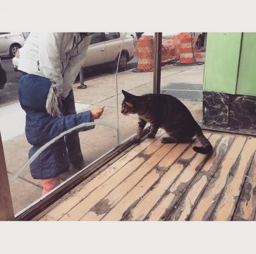 Kawaii Kitty Cafe Opening in Queen Village