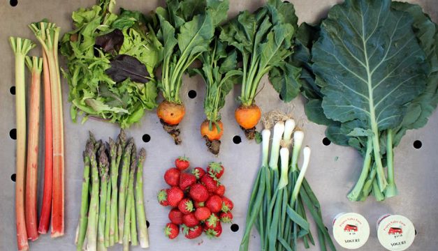 How to Properly Store Popular Spring and Summer Produce | Be Well Philly