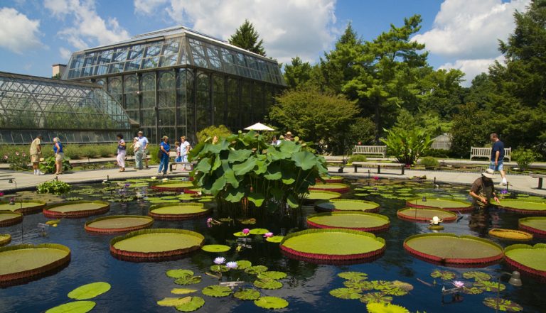 14 Gorgeous Philly-Area Gardens And Arboretums | Ticket