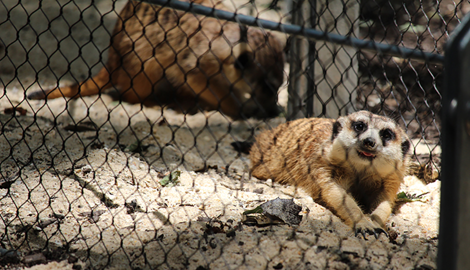 Two Genius, JamPacked Itineraries for the Perfect Day at Philadelphia