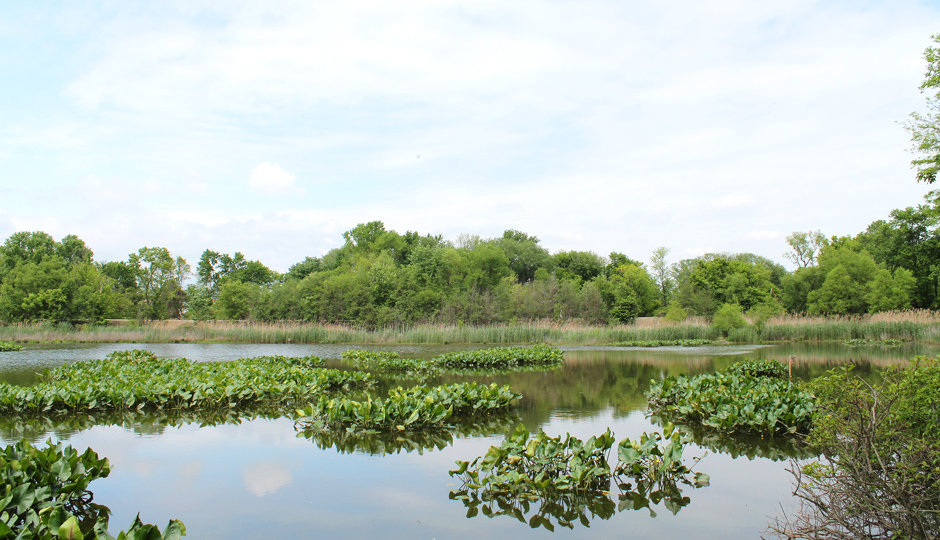 Best Under-the-Radar Running Trails in Philly