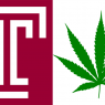 Temple logo; Cannabis leaf