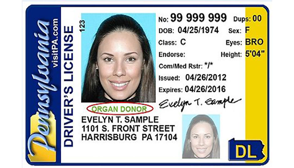PA drivers license