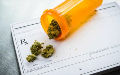 Greenhouse Ventures, Jefferson Offer "Higher" Education in New Medical Marijuana Tour