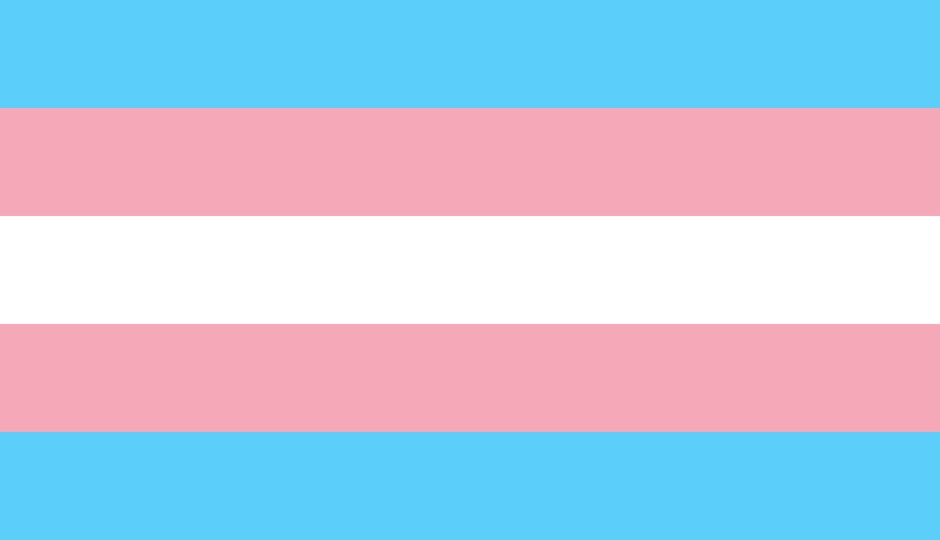 Transgender pride flag. 