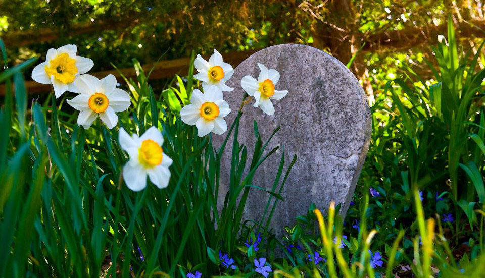 Photo credit: Whipps Garden Cemetery