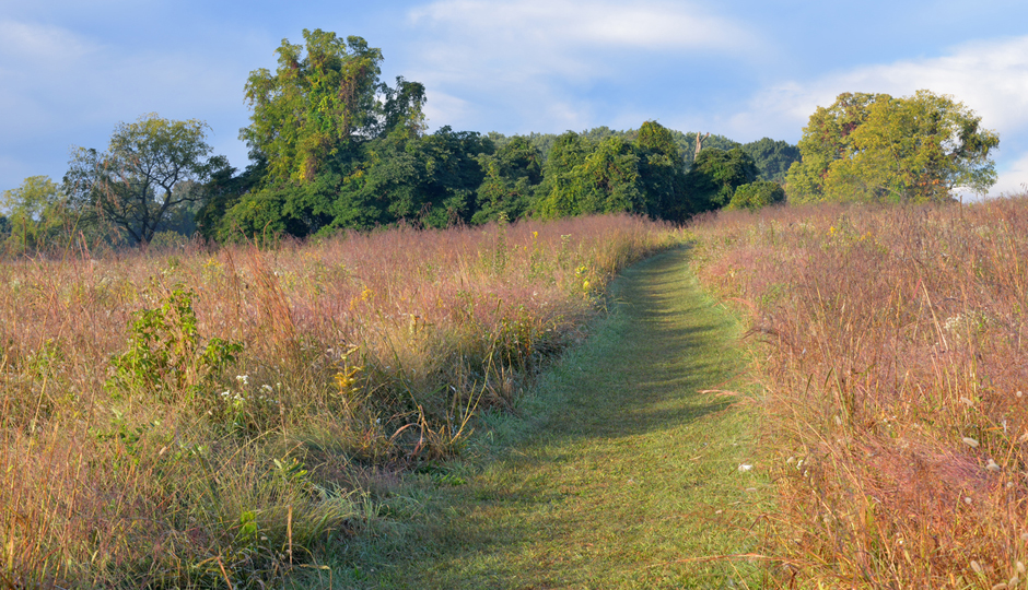 Valley Forge aimintang/iStock.com