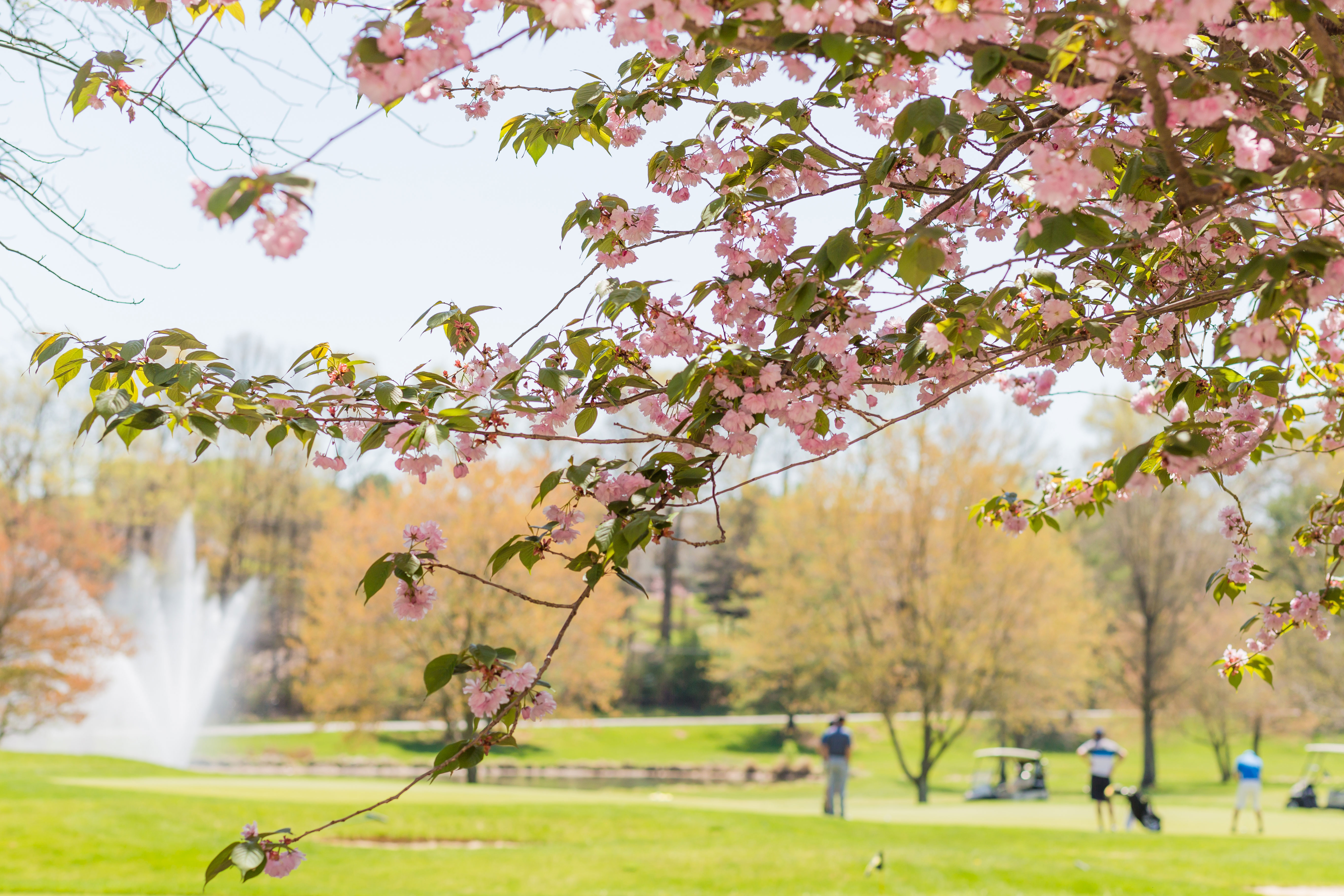 Photo credit: Visit Howard County