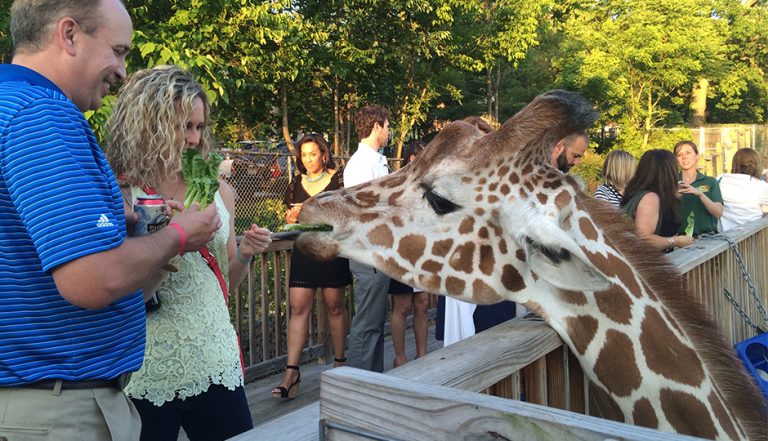 Beast Of A Feast: All You Can Eat (And Drink) At Elmwood Park Zoo ...