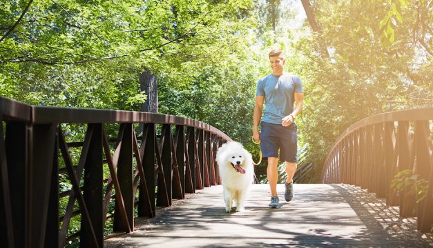 How to Turn Your Morning Dog Walk Into an Actual Workout | Be Well Philly
