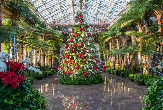 12 Reasons A Longwood Christmas Should Be #1 on Your Holiday To-Do List ...