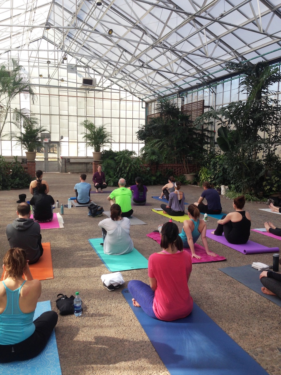 Try Greenhouse Yoga in Fairmount Park This Winter